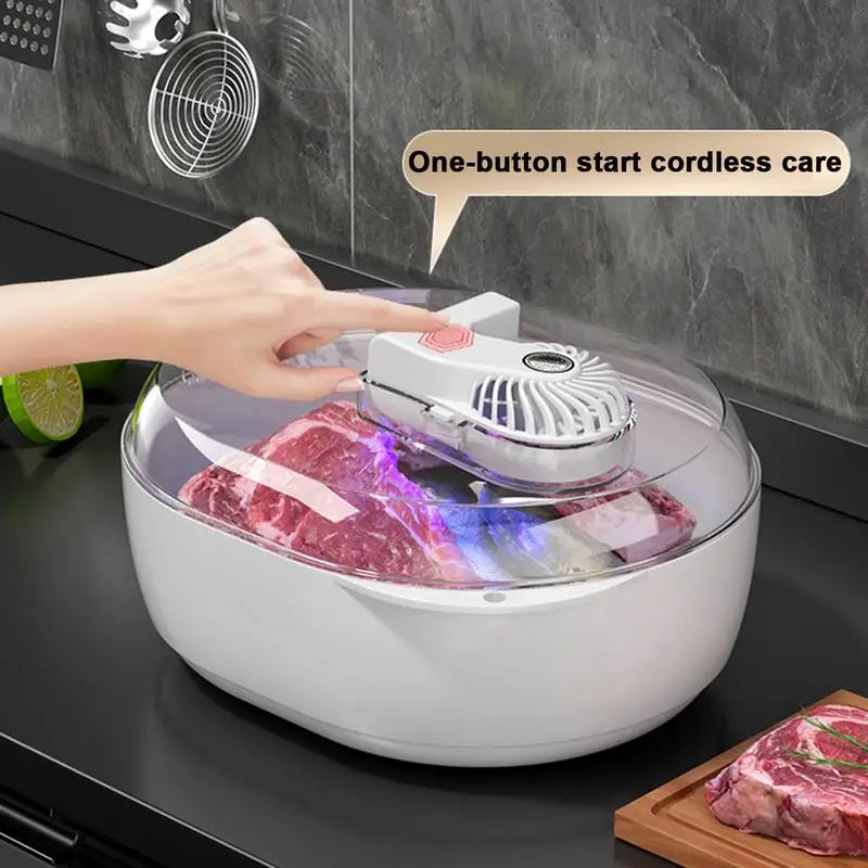 6-in-1 Portable Meat Defrosting Machine – Rapid USB Charging Thawing Plate