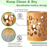 Bamboo Toothbrush & Toothpaste Cup holder With Drainage Quick Drying