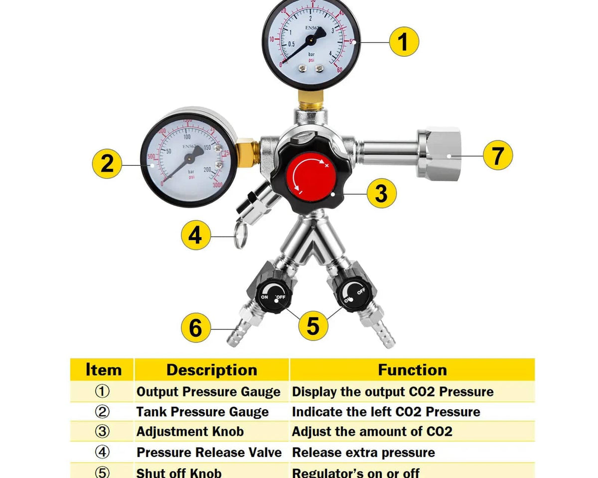 Homebrew Draft Beer Tower - Culinarywellbeing