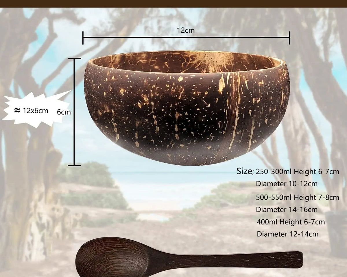 🌿 Eco-Friendly Coconut Shell Bowls