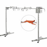 Electric BBQ Grill Roaster