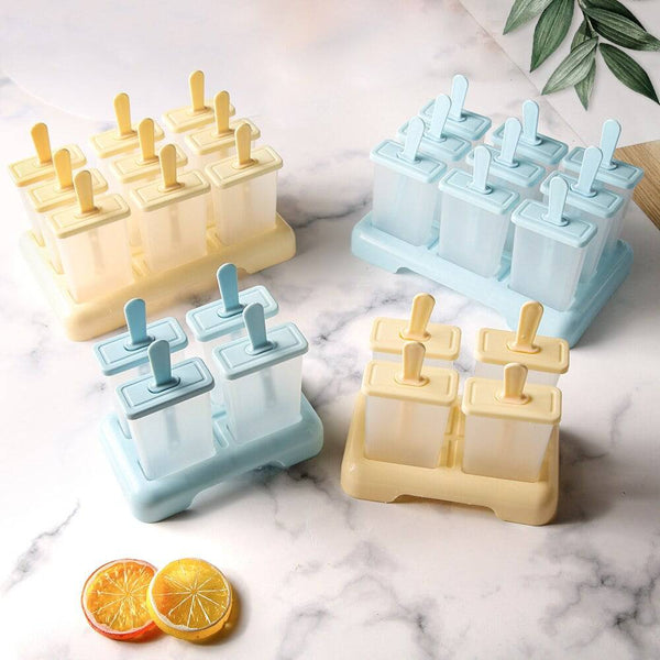 Ice Box with Plastic Stick Ice-lolly Mold Ice Cube Tray - Culinarywellbeing