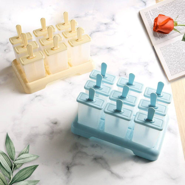 Ice Box with Plastic Stick Ice-lolly Mold Ice Cube Tray - Culinarywellbeing