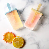 Ice Box with Plastic Stick Ice-lolly Mold Ice Cube Tray - Culinarywellbeing