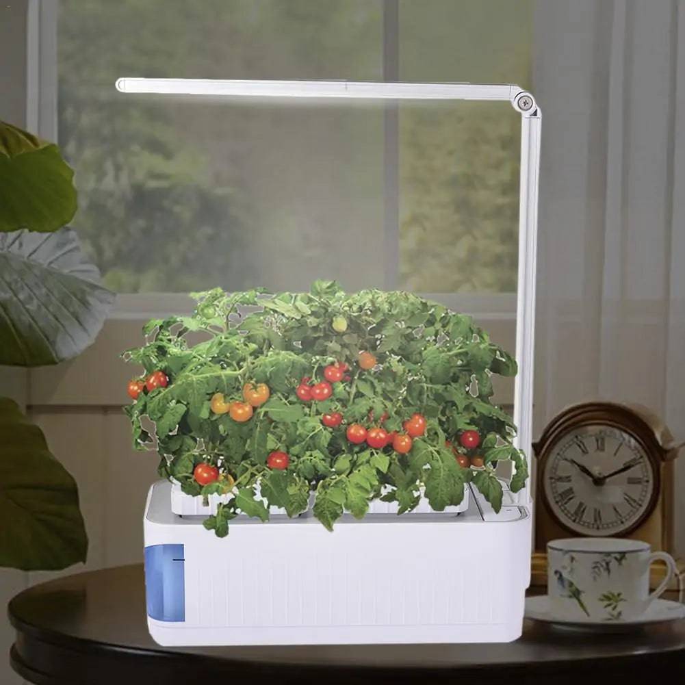 Hydroponic Indoor Herb Garden Kit - Culinarywellbeing