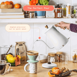 1.0L Electric Gooseneck Kettle - Culinarywellbeing